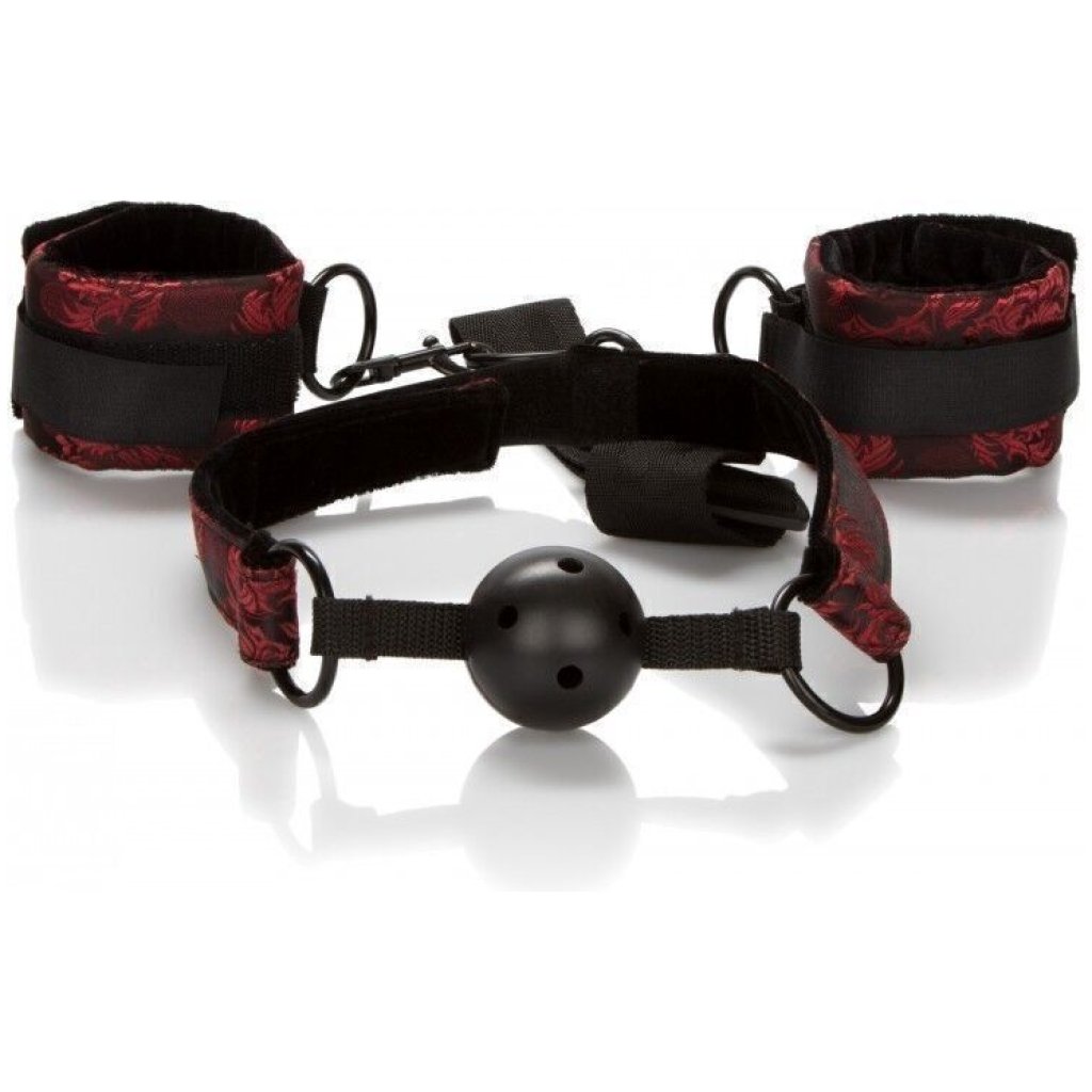 Bavaglio Ball Gag traspirante con polsini