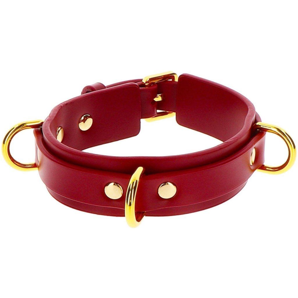 D-Ring Collare Deluxe